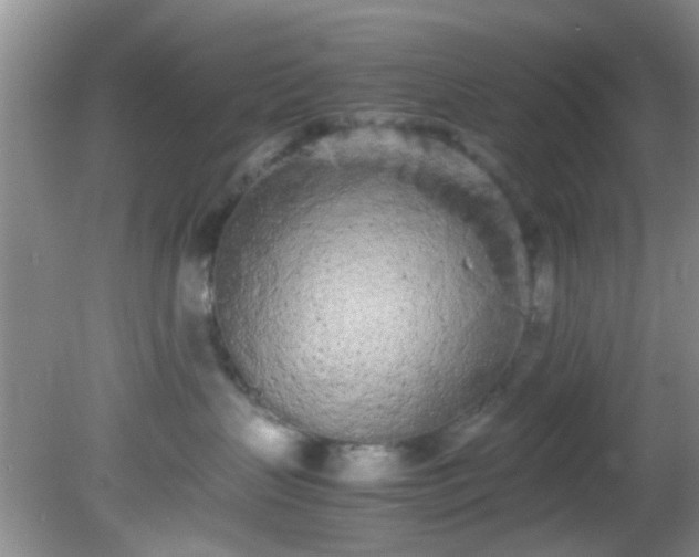 X0000082200383200701270124