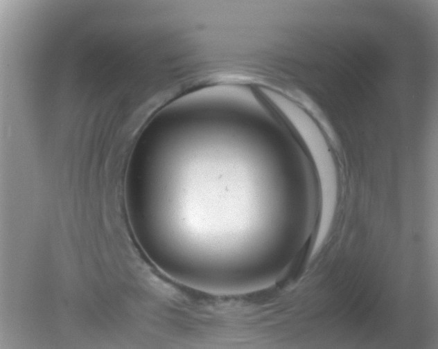 X0000082200385200701270124