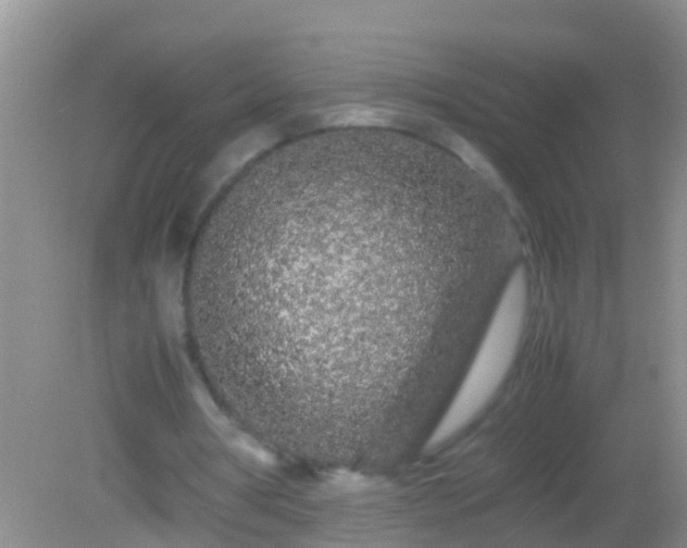 X0000082200386200701270124