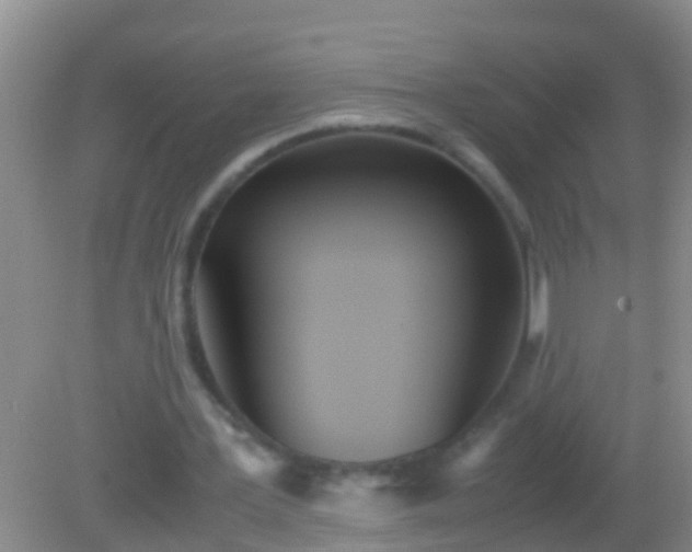 X0000082200387200701270124