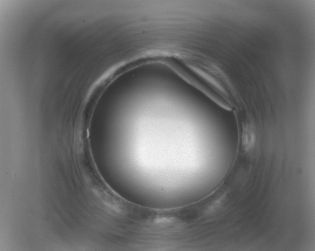 X0000082200388200701270124