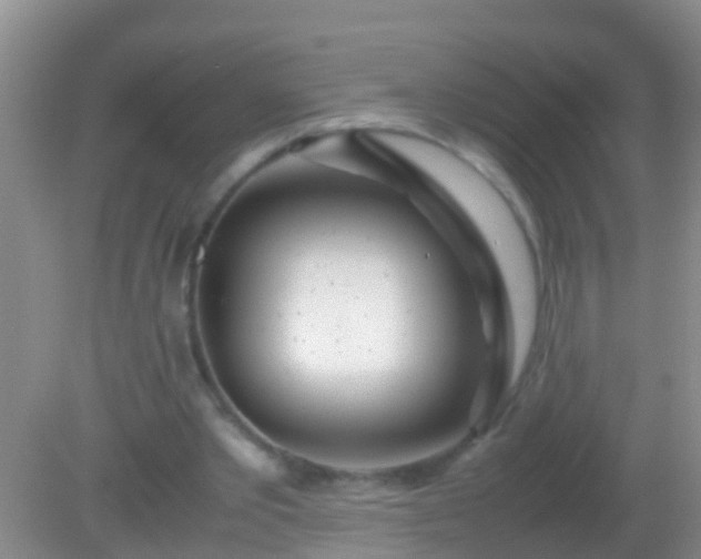 X0000082200389200701270124