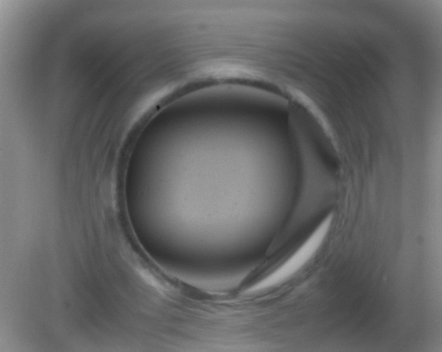 X0000082200391200701270123