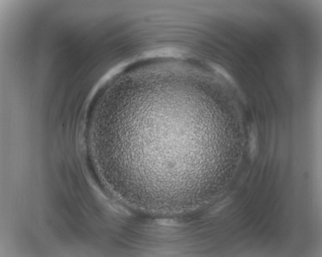 X0000082200392200701270123