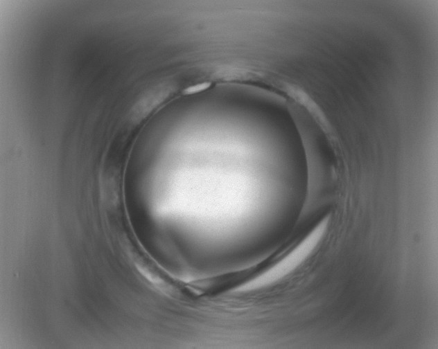 X0000082200393200701270123