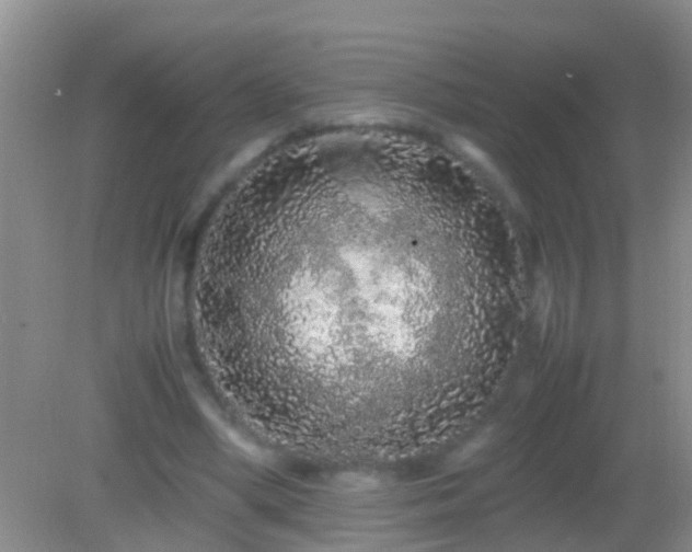 X0000082200394200701270123