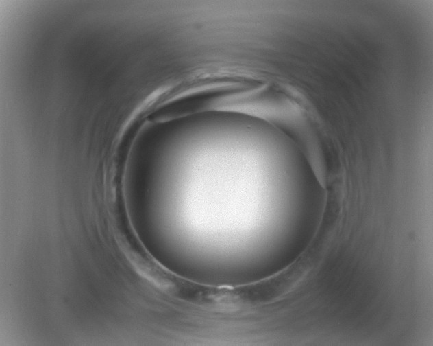 X0000082200395200701270123