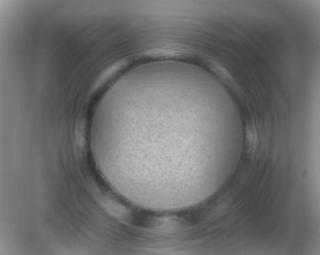 X0000082200396200701270123