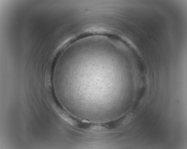 X0000082200399200701270123