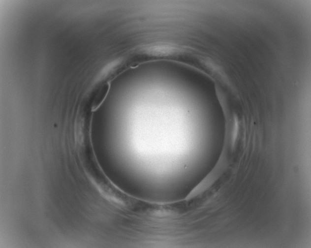 X0000082200400200701270123