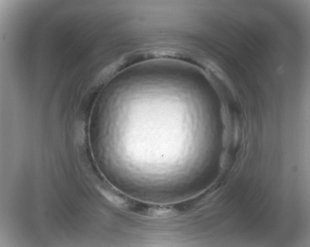 X0000082200401200701270123