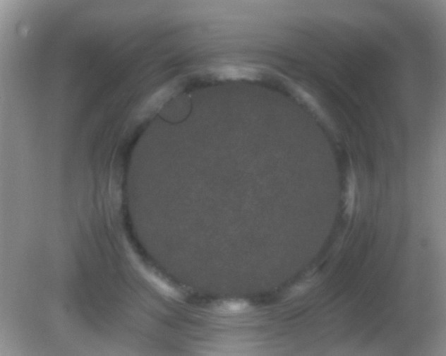 X0000082200402200701270123