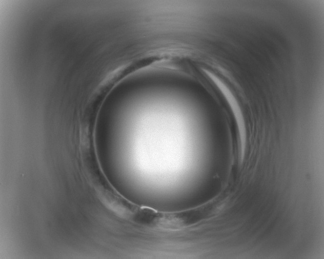 X0000082200403200701270123