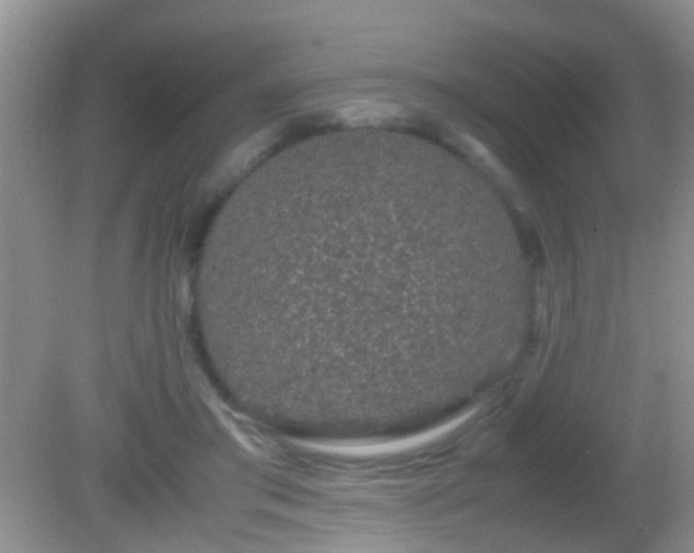 X0000082200405200701270123