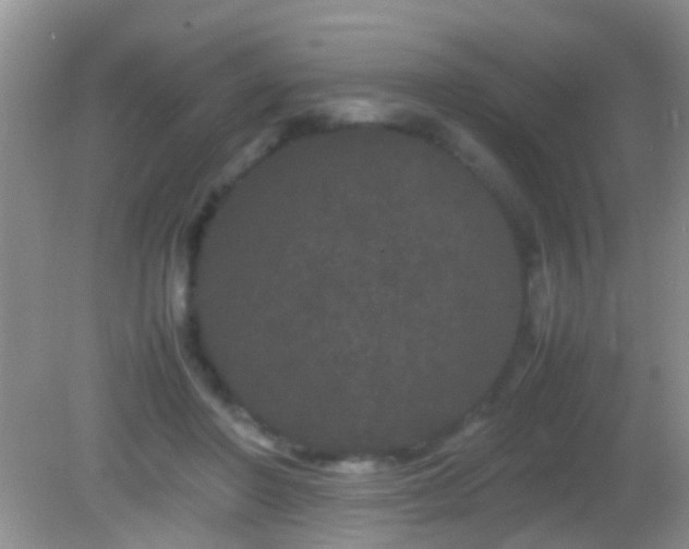 X0000082200406200701270123