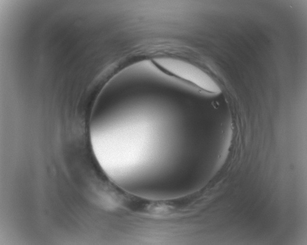 X0000082200407200701270123