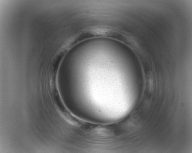 X0000082200408200701270123