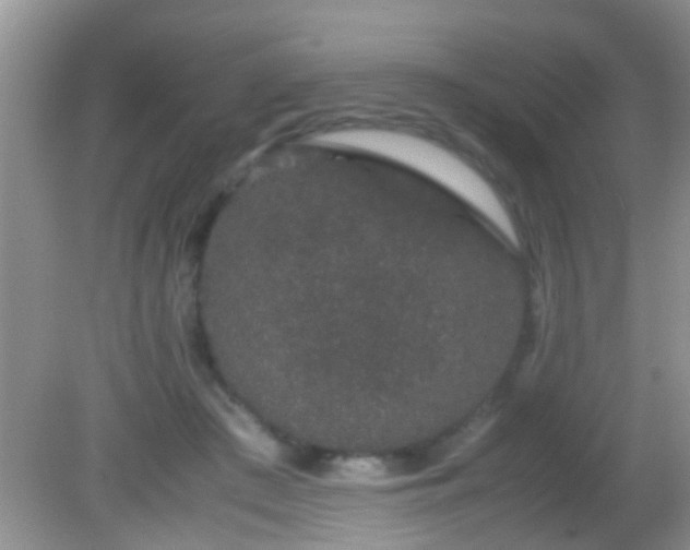 X0000082200409200701270123