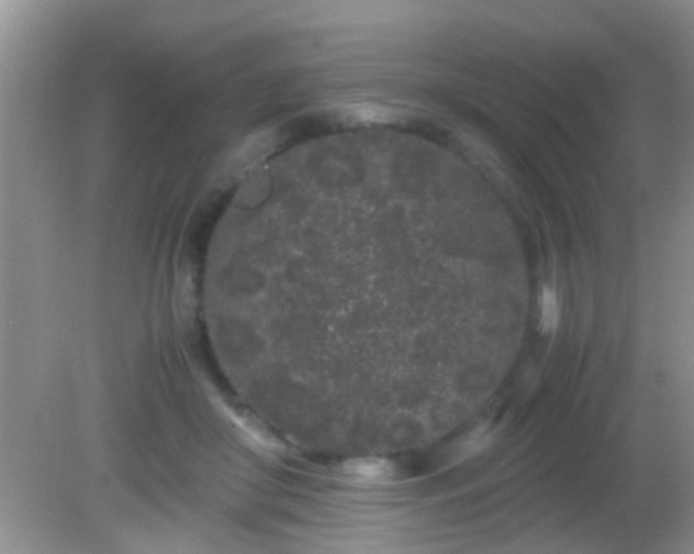 X0000082200410200701270123