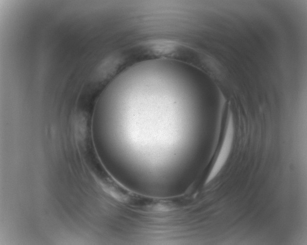 X0000082200412200701270123