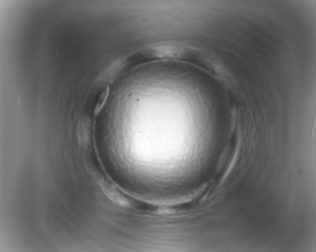 X0000082200413200701270123