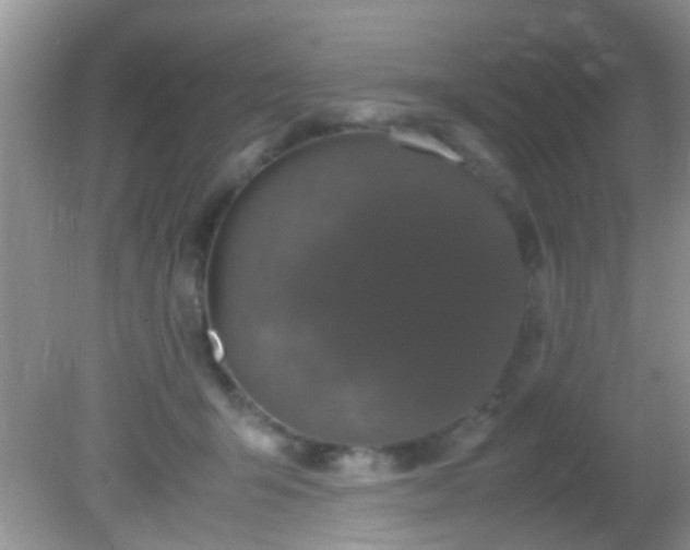 X0000082200415200701270123