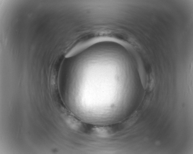 X0000082200417200701270123