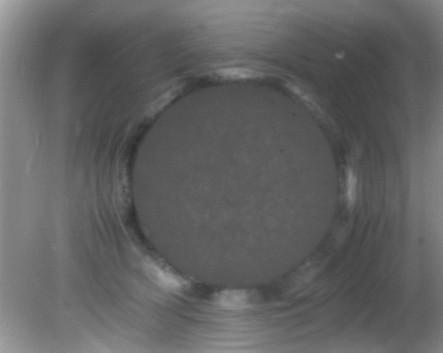 X0000082200418200701270123