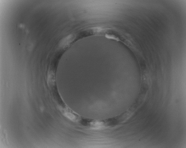 X0000082200419200701270123