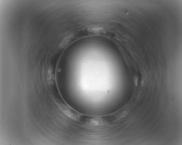 X0000082200420200701270123