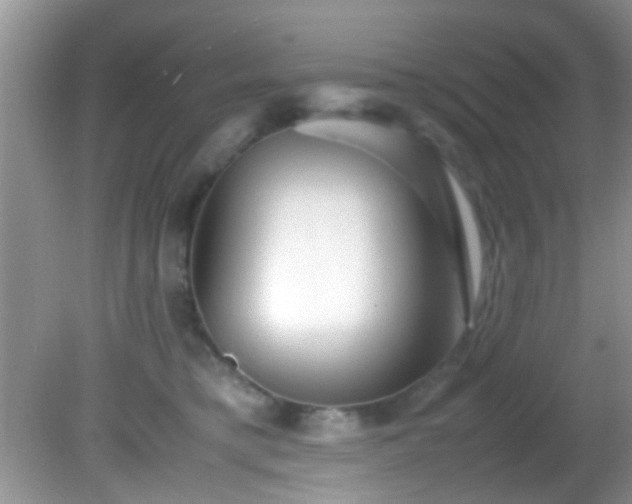 X0000082200421200701270123