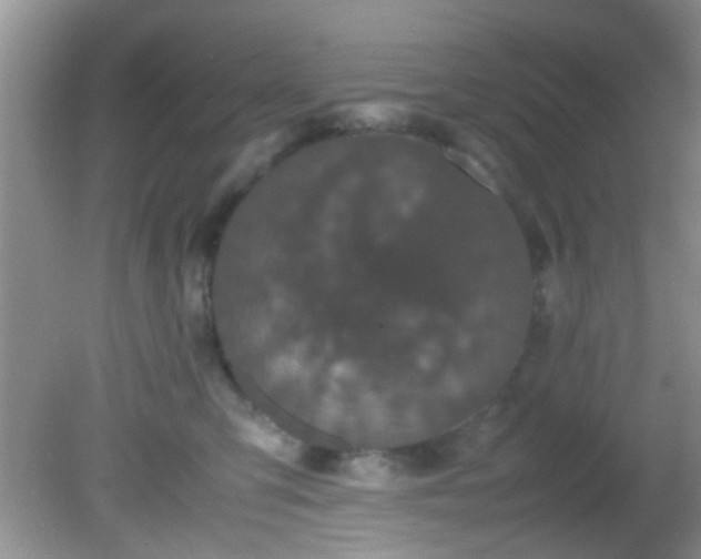 X0000082200423200701270123