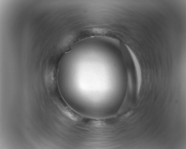 X0000082200424200701270123