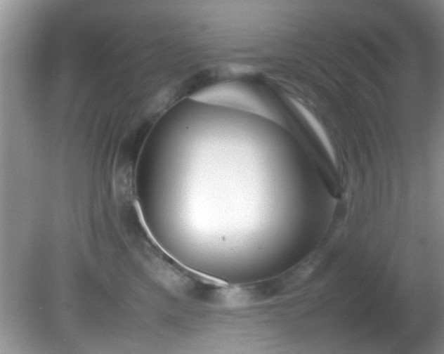 X0000082200425200701270123