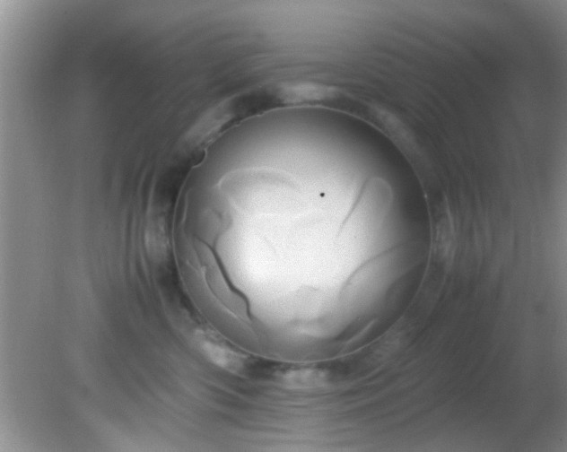 X0000082200426200701270123