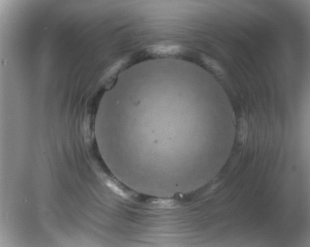 X0000082200428200701270123