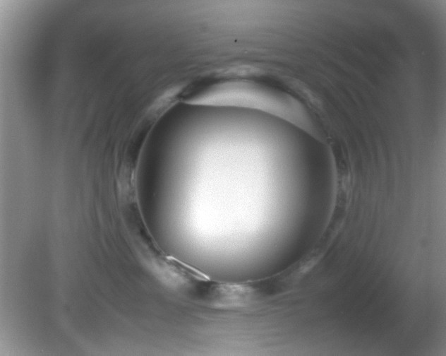 X0000082200429200701270123