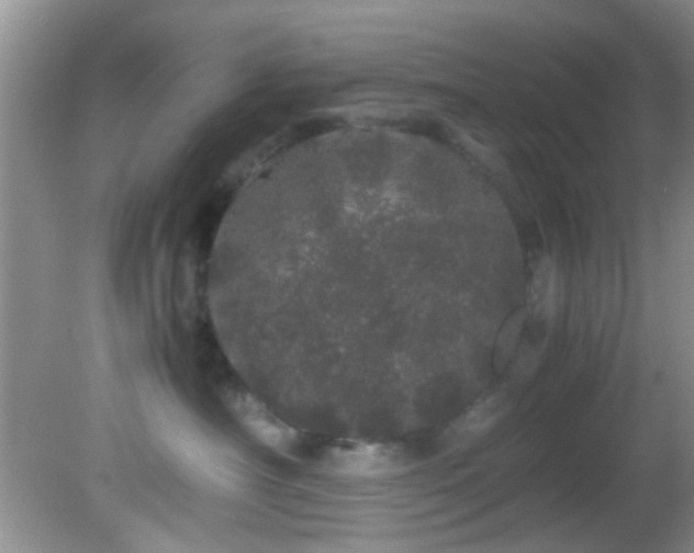 X0000082200430200701270123