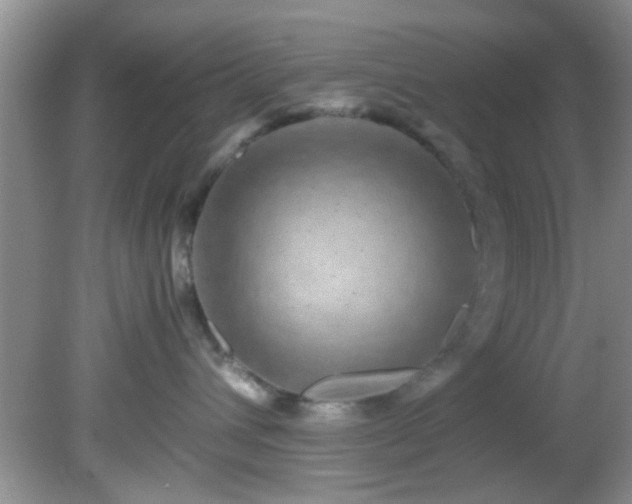 X0000082200432200701270123