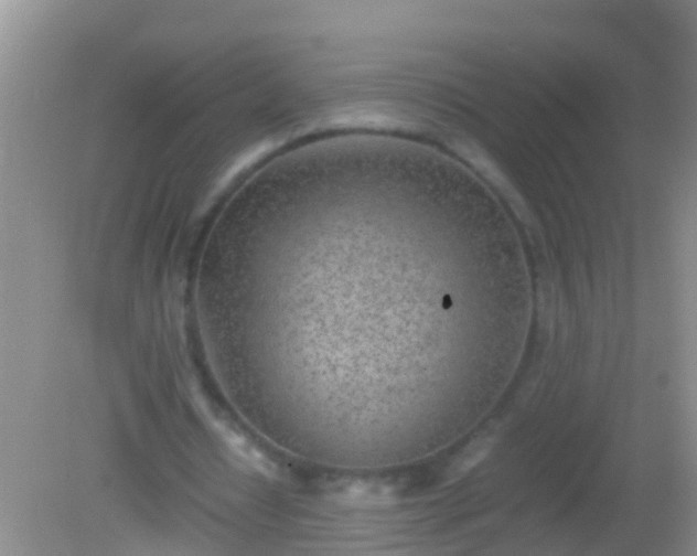 X0000082200434200701270122