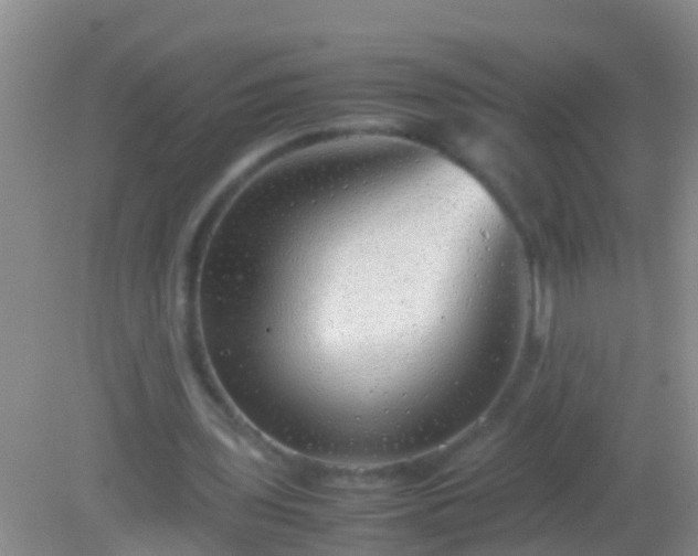 X0000082200435200701270122