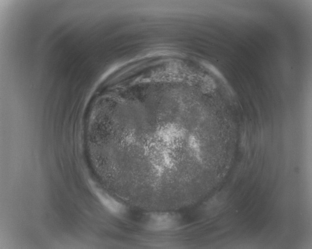 X0000082200439200701270122