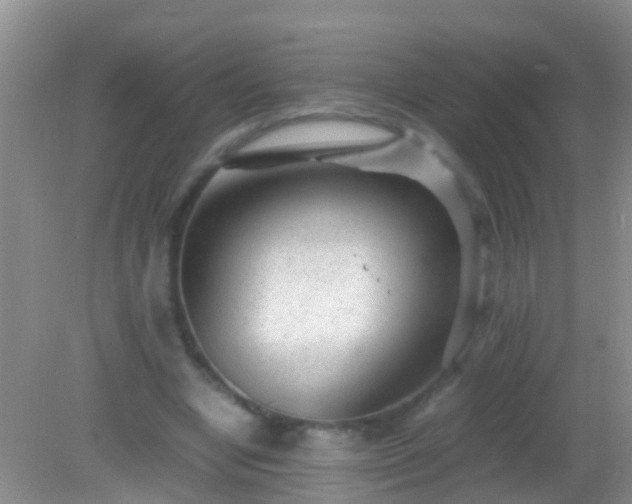 X0000082200442200701270122