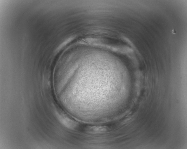 X0000082200443200701270122