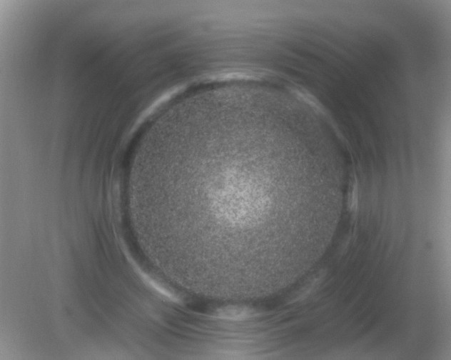 X0000082200444200701270122