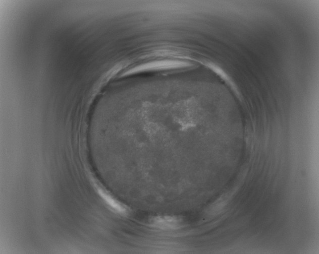 X0000082200445200701270122