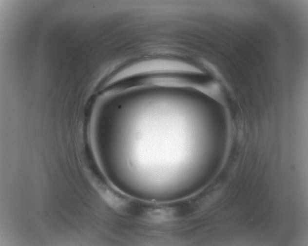 X0000082200447200701270122