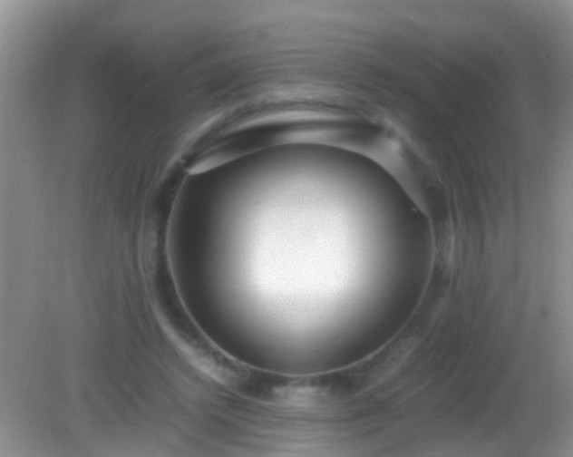 X0000082200448200701270122