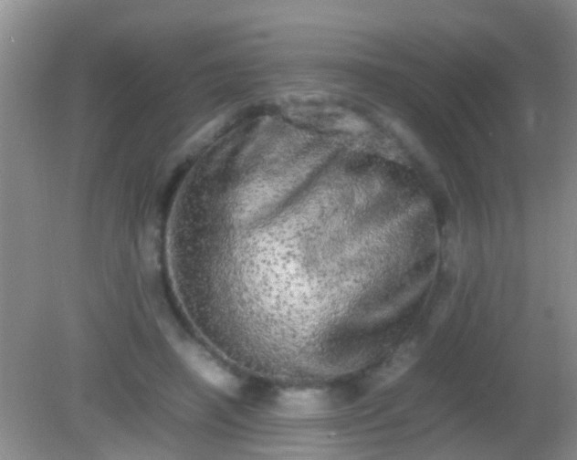 X0000082200450200701270122