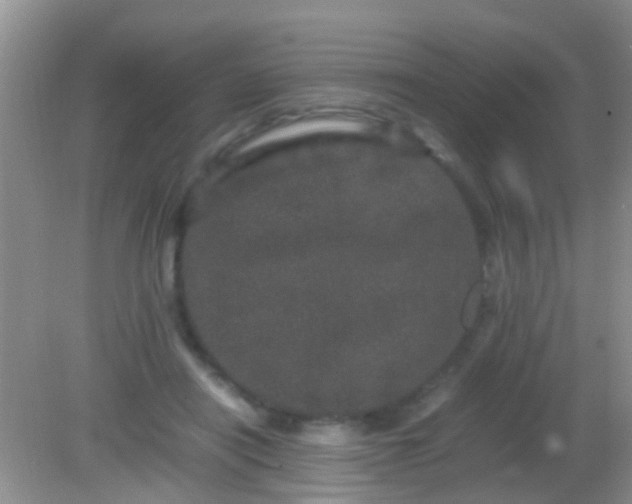 X0000082200454200701270122